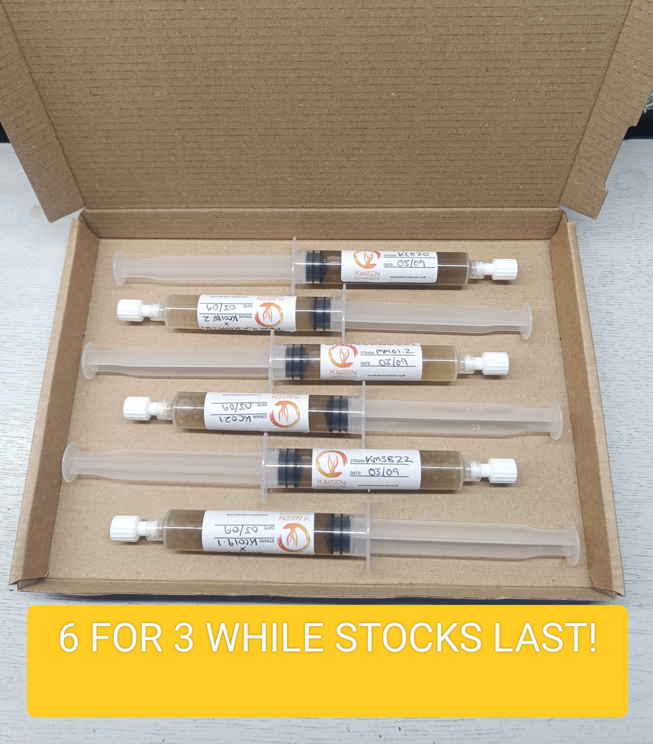 5 for 3 Cordyceps Strains